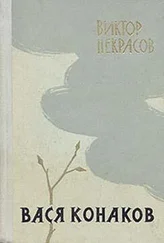 Виктор Некрасов - Через десять лет