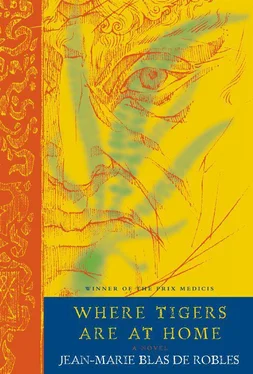 Jean-Marie Blas De Robles Where Tigers Are at Home обложка книги