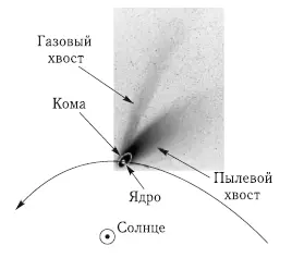 Рис 41 Структурные составляющие кометы Имеются отличительные особенности - фото 51