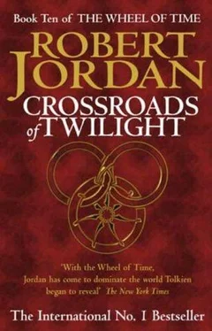 Robert Jordan Crossroads of Twilight обложка книги