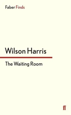 Wilson Harris The Waiting Room обложка книги