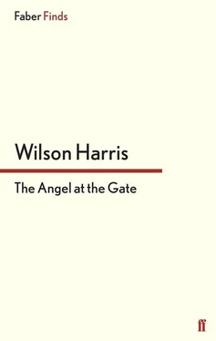 Wilson Harris The Angel at the Gate обложка книги