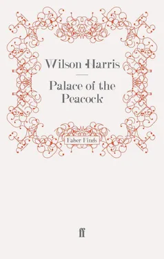 Wilson Harris Palace of the Peacock обложка книги