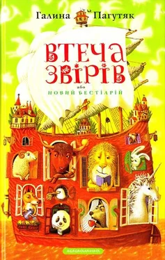 Галина Пагутяк Втеча звірів або новий бестіарій обложка книги