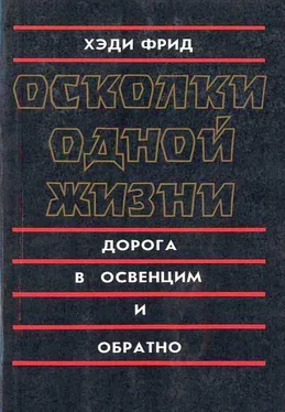 Хэди Фрид Осколки одной жизни. Дорога в Освенцим и обратно обложка книги