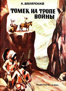 Альфред Шклярский Томек на тропе войны обложка книги
