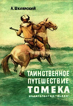 Альфред Шклярский Таинственное путешествие Томека обложка книги