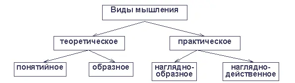 Разница между теоретическим и практическим видами мышления по мнению Б М - фото 6