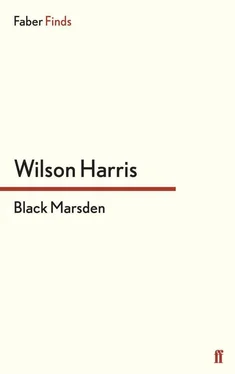 Wilson Harris Black Marsden: A Tabula Rasa Comedy обложка книги