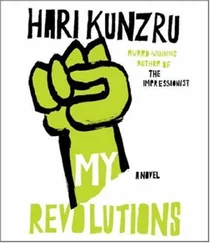 Hari Kunzru - My Revolutions