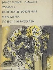 Эрнст Гофман - Житейские воззрения кота Мурра. Повести и рассказы