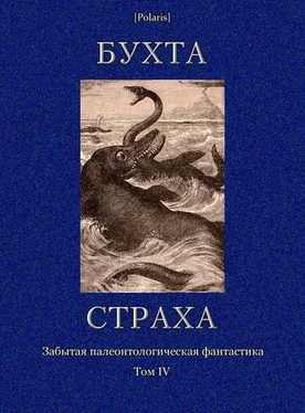 А. Фористер Меганейра обложка книги