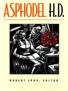 Hilda Doolittle Asphodel обложка книги