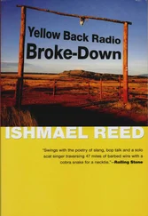 Ishmael Reed - Yellow Back Radio Broke-Down