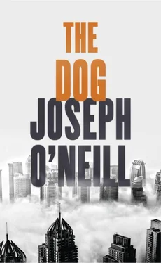 Joseph O’Neill The Dog обложка книги