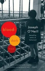 Joseph O'Neill - Blood-Dark Track