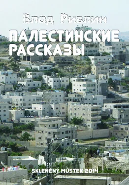 Влад Ривлин Палестинские рассказы (сборник) обложка книги