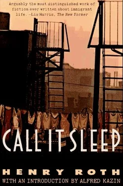 Henry Roth Call It Sleep обложка книги