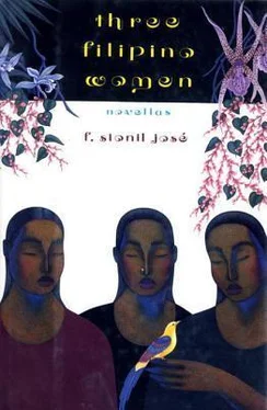 Francisco Jose Three Filipino Women обложка книги