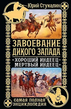 Юрий Стукалин Завоевание Дикого Запада. «Хороший индеец – мертвый индеец»