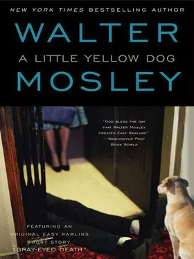 Walter Mosley A Little Yellow Dog обложка книги