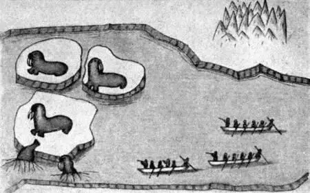 Охота на моржей с байдарок По рисунку ученика 4го класса Сиреникской школы - фото 4