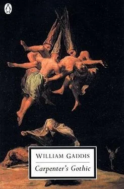 William Gaddis Carpenter's Gothic обложка книги