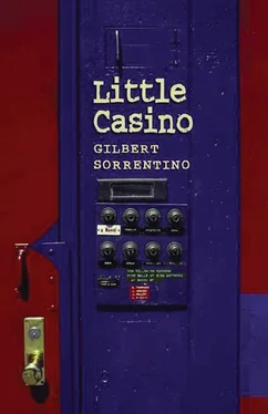 Gilbert Sorrentino Little Casino обложка книги