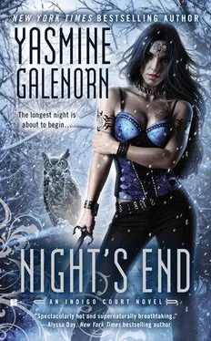 Yasmine Galenorn Night's End обложка книги