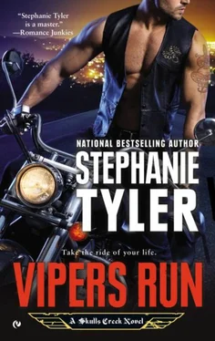 Stephanie Tyler Vipers Run обложка книги