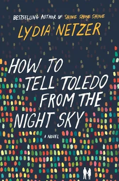 Lydia Netzer How to Tell Toledo from the Night Sky обложка книги