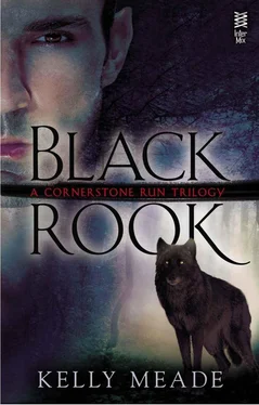 Kelly Meade Black Rook обложка книги