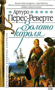 Артуро Перес-Реверте Золото короля обложка книги