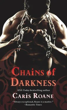 Caris Roane Chains of Darkness обложка книги