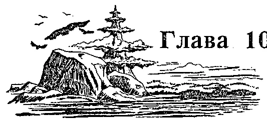 Они ехали две недели и наконец оказались на опушке - фото 22