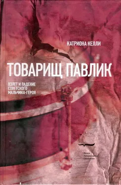 Катриона Келли Товарищ Павлик: Взлет и падение советского мальчика-героя