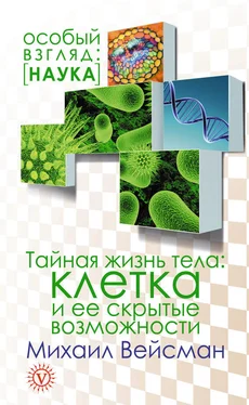 Михаил Вейсман Тайная жизнь тела. Клетка и ее скрытые возможности обложка книги