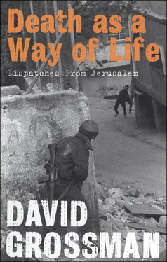 David Grossman Death as a Way of Life обложка книги