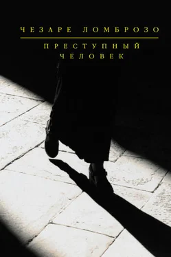 Чезаре Ломброзо Политическая преступность обложка книги