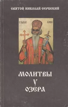 Николай Велимирович Молитвы у озера обложка книги