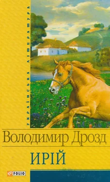 Володимир Дрозд Самотній вовк обложка книги