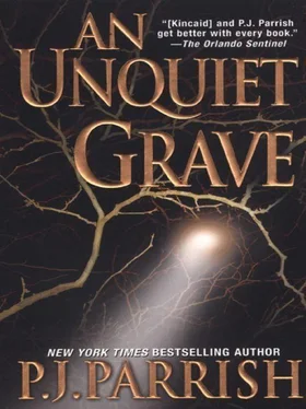 P. Parrish An Unquiet Grave обложка книги