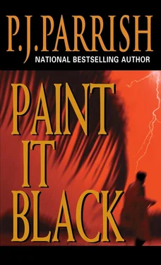 P. Parrish Paint It Black обложка книги