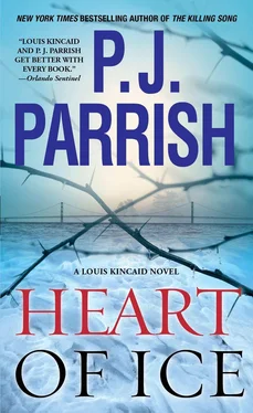 P. Parrish Heart of Ice обложка книги