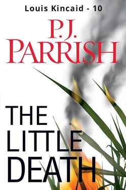 P. Parrish The Little Death обложка книги