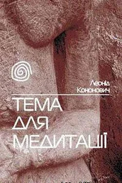 Леонід Кононович Тема для медитації обложка книги