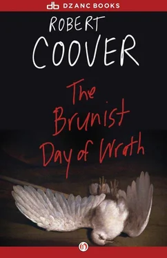 Robert Coover The Brunist Day of Wrath обложка книги