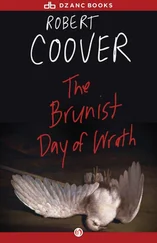 Robert Coover - The Brunist Day of Wrath