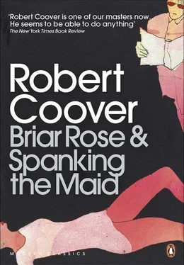 Robert Coover Briar Rose & Spanking the Maid обложка книги