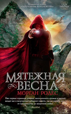 Морган Родес Мятежная весна обложка книги